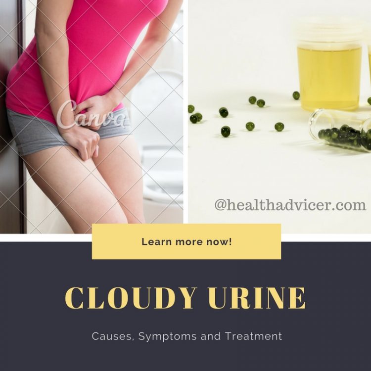 Cloudy Urine Causes, Symptoms and Treatment