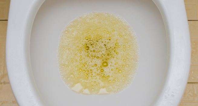 Foamy Urine