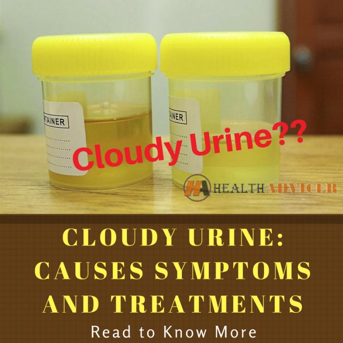 Cloudy Urine