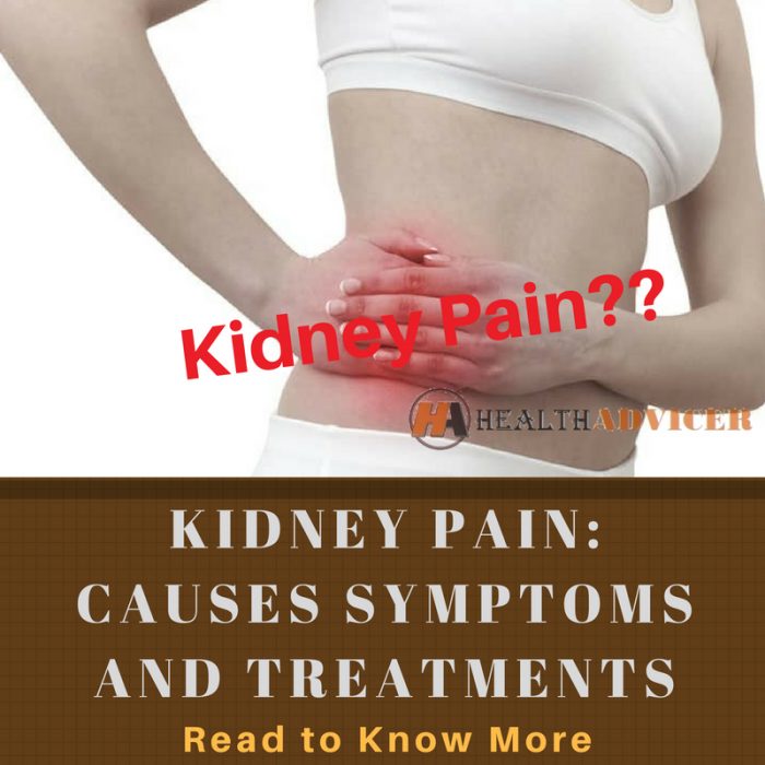 essay on kidney pain