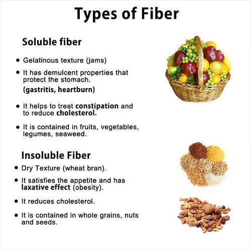 Include Fiber