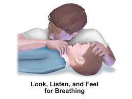 Cardiopulmonary Resuscitation