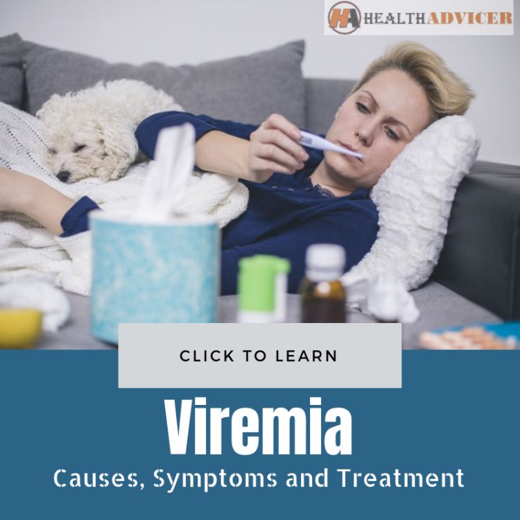 Viremia Causes Treatment