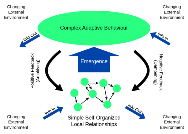 Adaptive Behavior