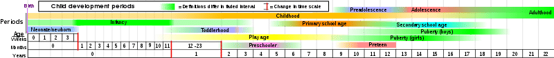 Developmental Chart