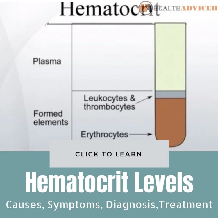 Hematocrit Levels