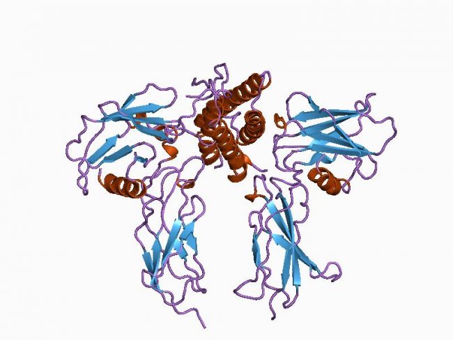 Erythropoietin Treatment