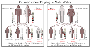 X chromosome