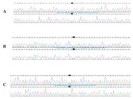 Genetic Testing