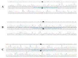 Genetic Testing