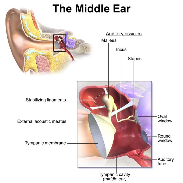 Clogged Ears