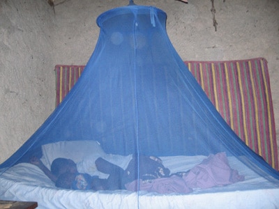 Use Mosquito Nets