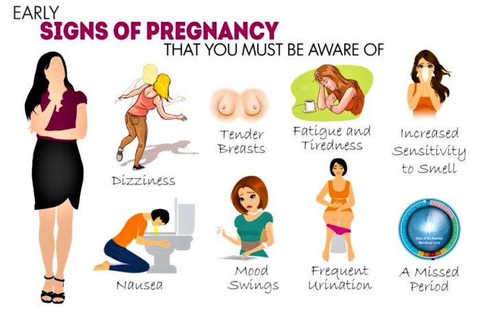 Early Pregnancy Symptoms