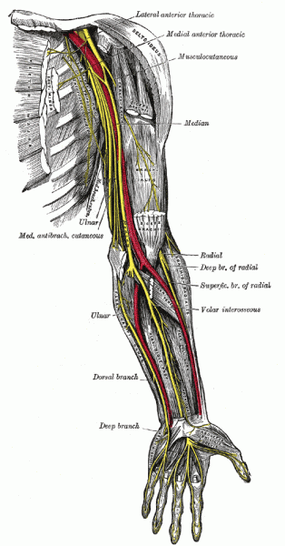 Nerve Entrapment Syndromes