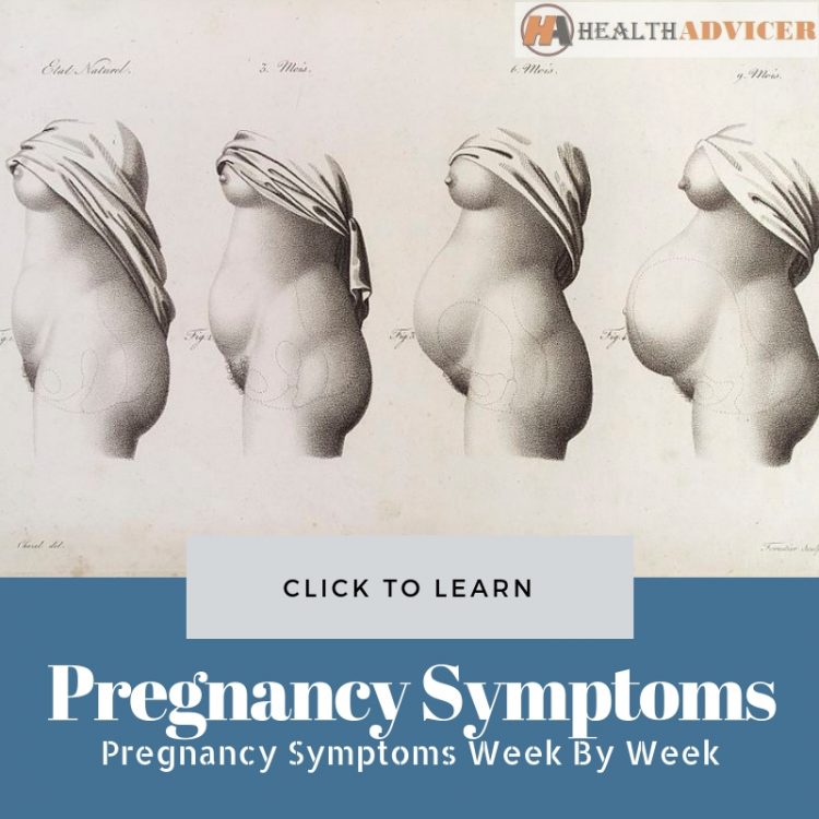 Pregnancy Symptoms Week By Week