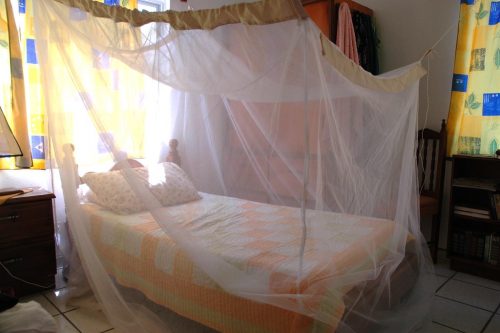 Mosquito Netting