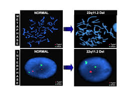 FISH Blood Tests