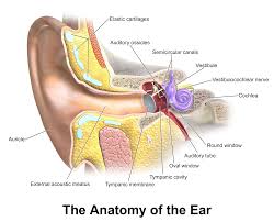 itchy ear canal