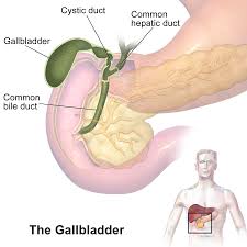 Gallbladder Pain