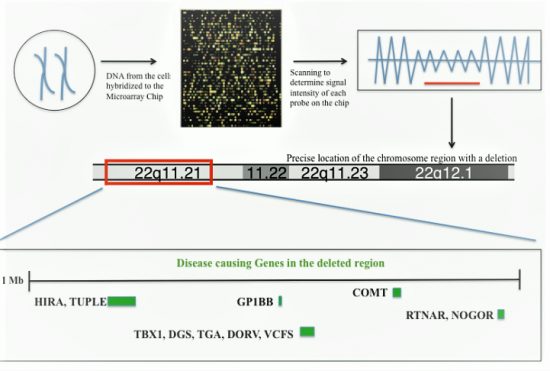 Chromosomal Microarray