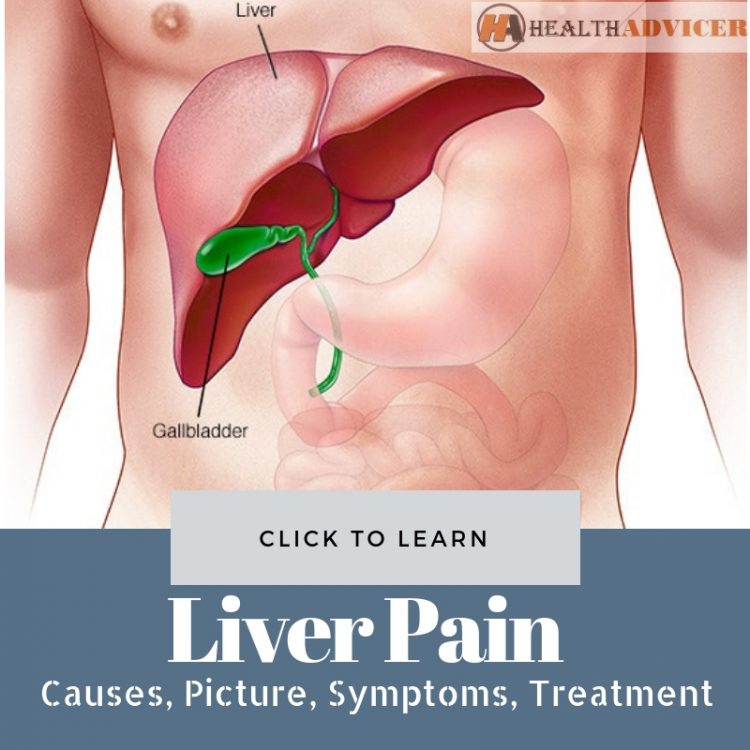 Liver Pain Location Causes Treatment