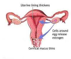 Leukorrhea