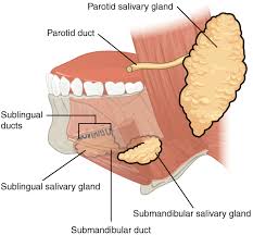 Dry mouth at night