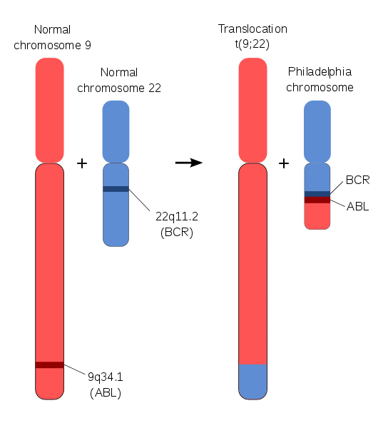 Targeted Therapy