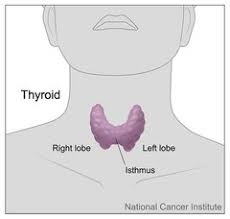 Thyroid disorders