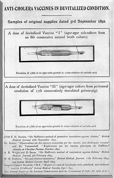 Cholera Vaccine