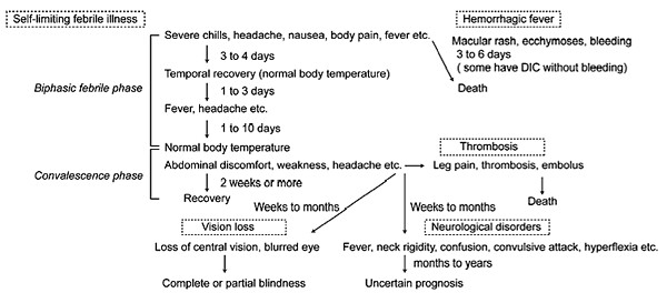 Symptoms Of Rift Valley Fever