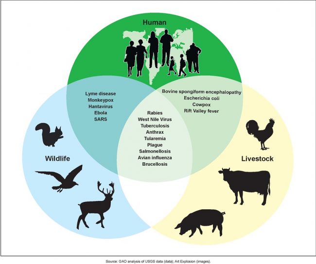 Transmission Of Monkeypox