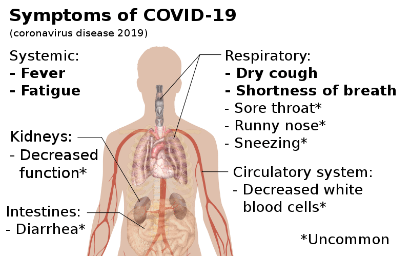 Symptoms Associated With Coronavirus 2019