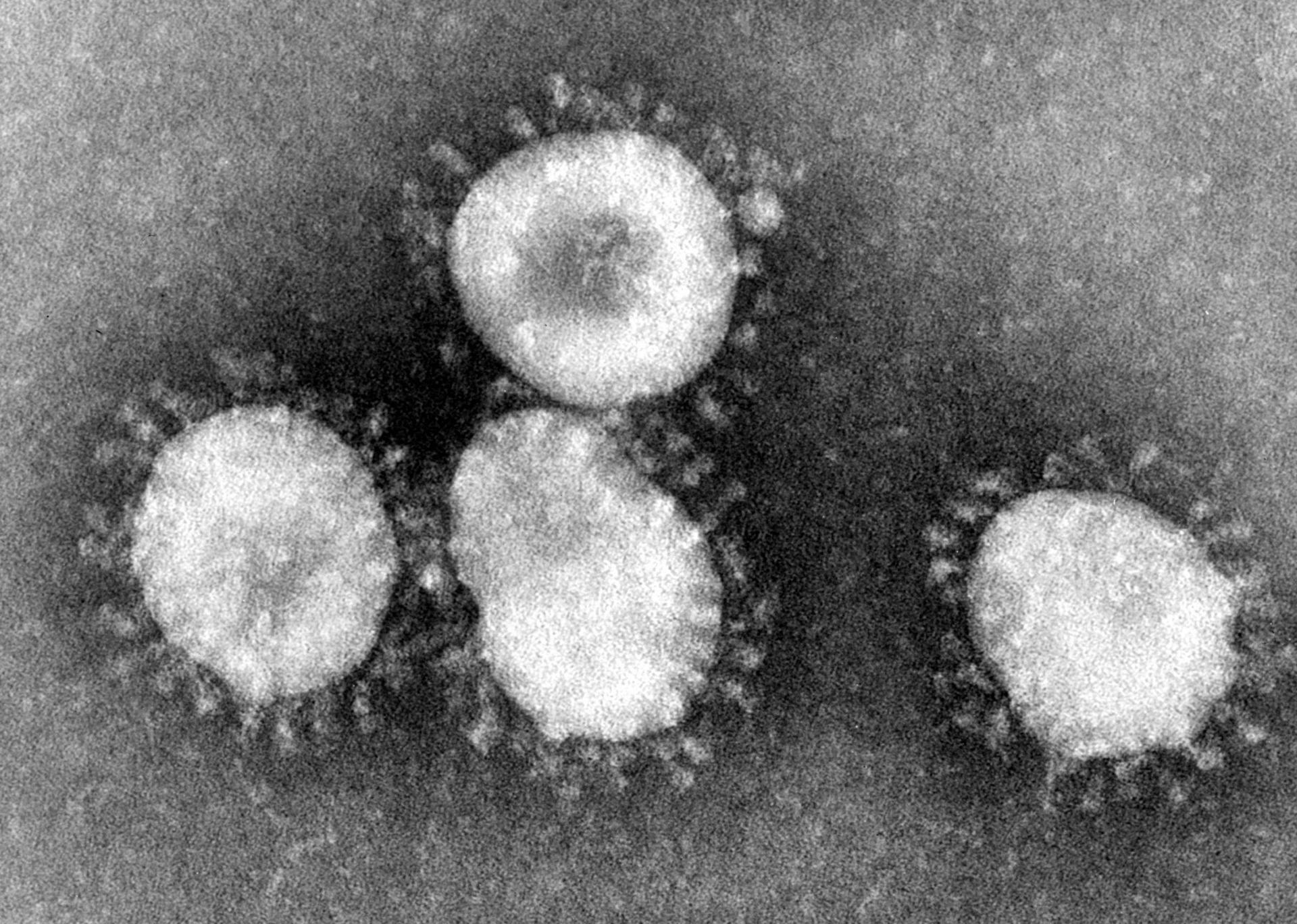 History Of Coronavirus
