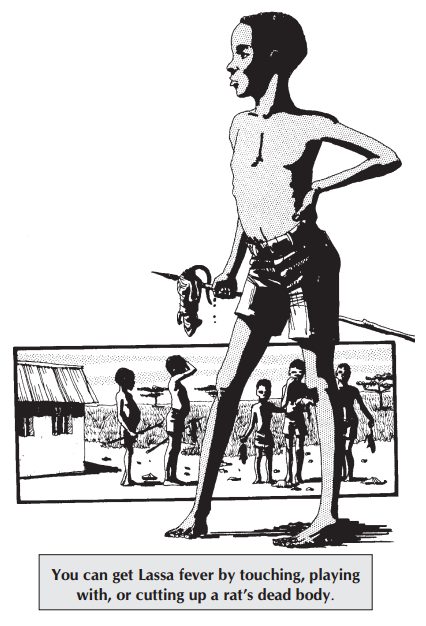 Lassa Fever