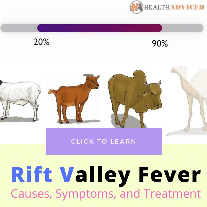 Rift Valley Fever