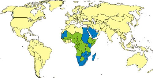 Rift valley fever