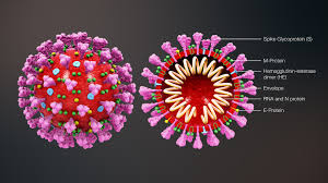 If you think you have coronavirus
