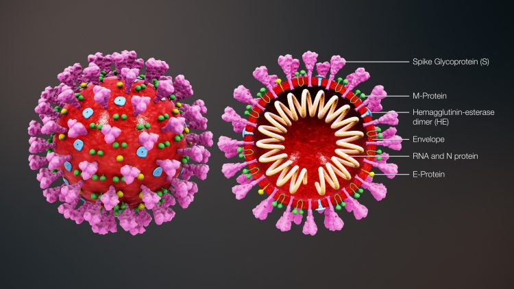 Know More About COVID-19