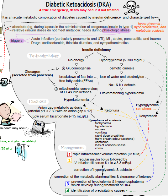 Diabetic Ketoacidosis And Treatment