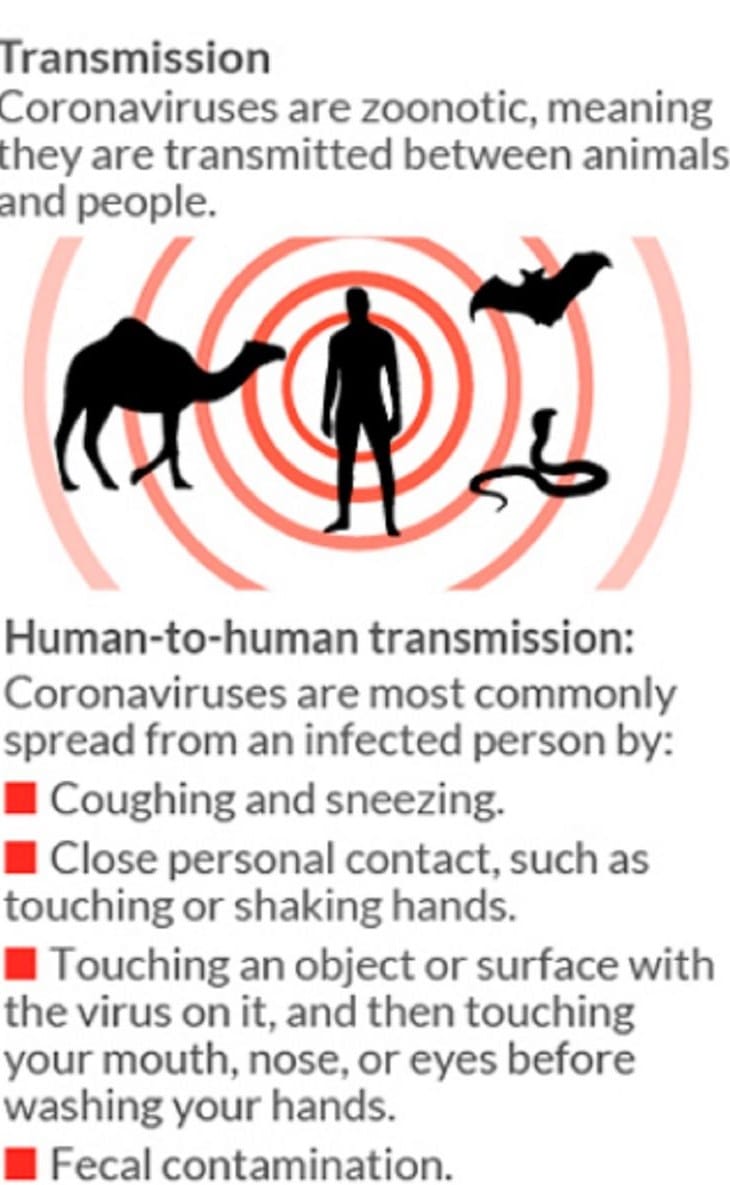 Transmission Of COVID-19