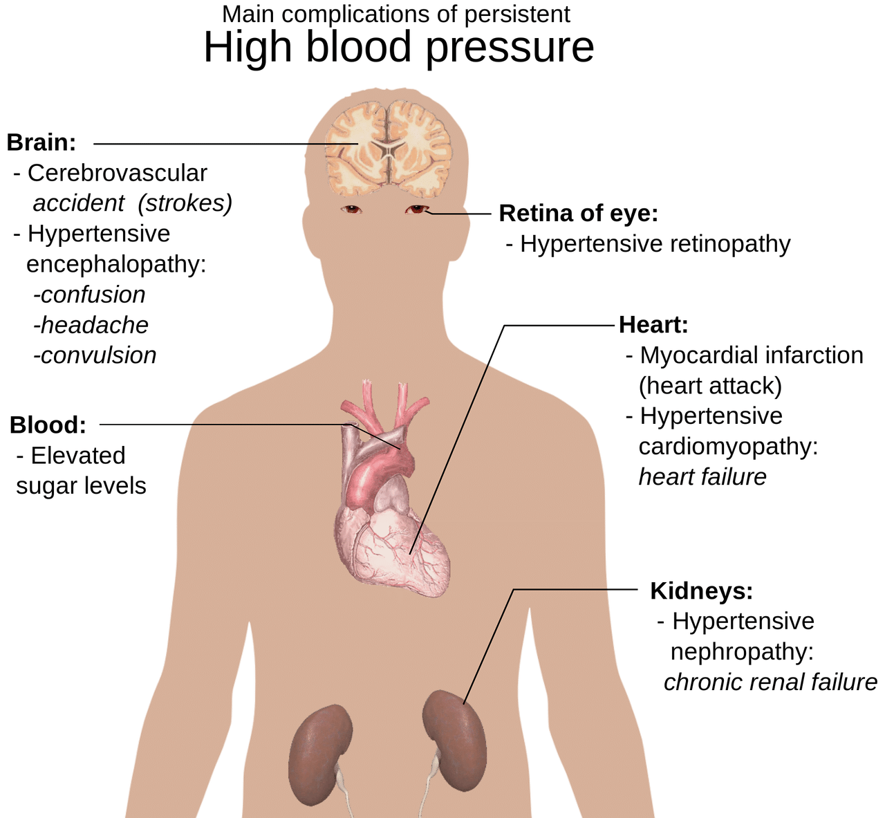 Damage To Cardiovascular System